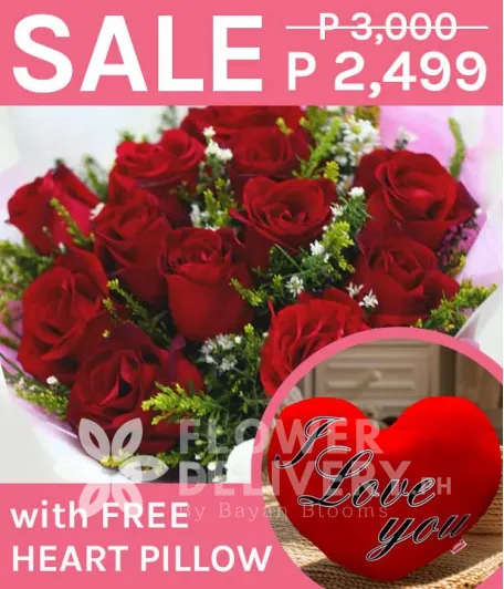 1 Dozen Imported Red Roses with Heart Pillow