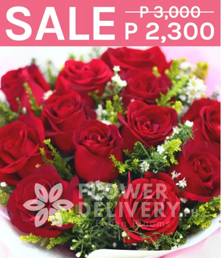 1 Dozen Imported Red Roses