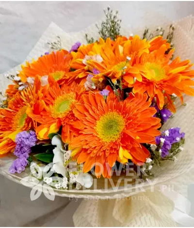 1 Dozen Orange Gerberas 1 Dozen Orange Gerberas