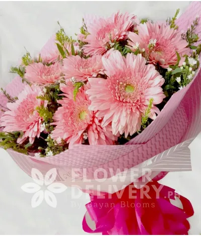 1 Dozen Pink Gerberas 1 Dozen Pink Gerberas