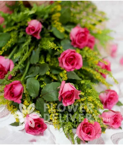 1 Dozen Pink Roses 1 Dozen Pink Roses