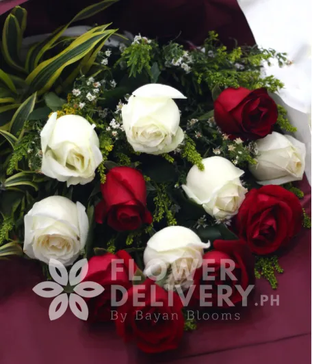 1 Dozen Imported Red and White Roses