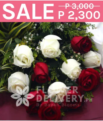 1 Dozen Imported Red and White Roses