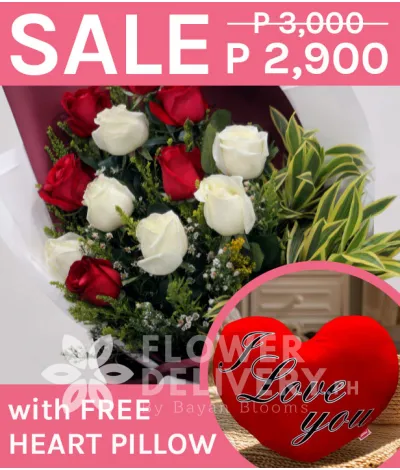 1 Dozen Imported Red and White Roses with Heart Pillow