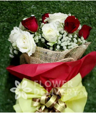 1 Dozen Red and White Roses