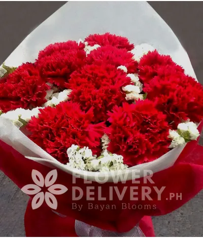 1 Dozen Red Carnations