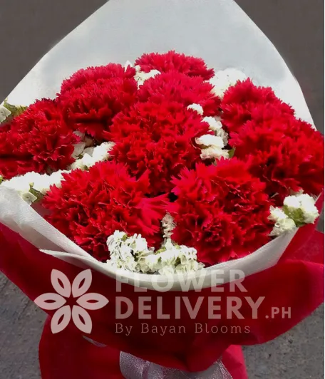 1 Dozen Red Carnations
