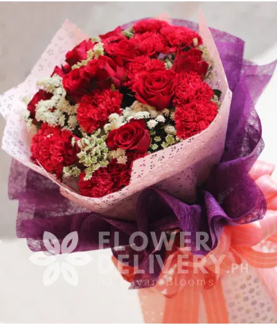 1 Dozen Red Roses and 1 Dozen Red Carnations