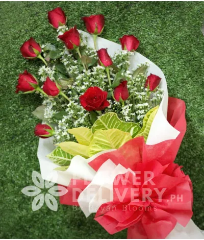 1 Dozen Red Roses (Arm Bouquet)