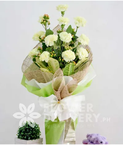 1 Dozen White Carnations