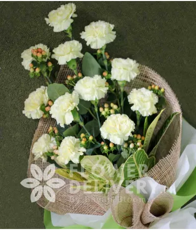 1 Dozen White Carnations