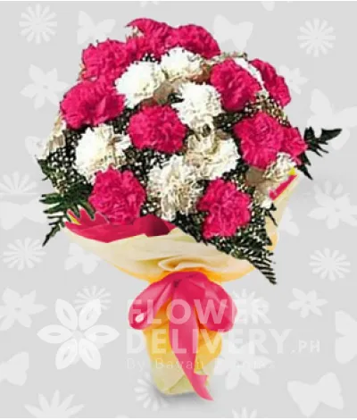 2 Dozen Pink and White Carnations 2 Dozen Pink and White Carnations