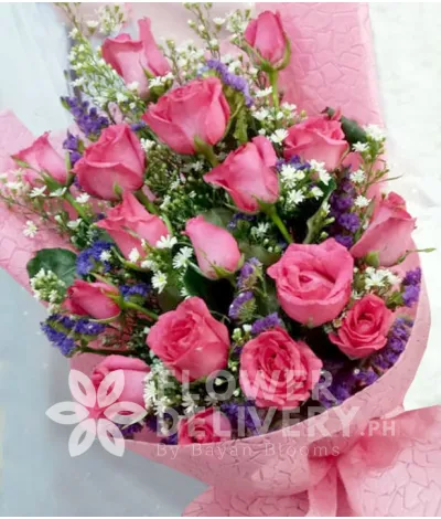 16 Elegant Pink Roses