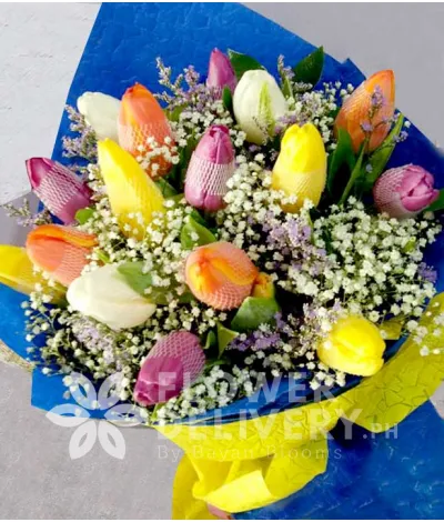 16 pcs. Rainbow Mixed Tulips 16 pcs. Rainbow Mixed Tulips