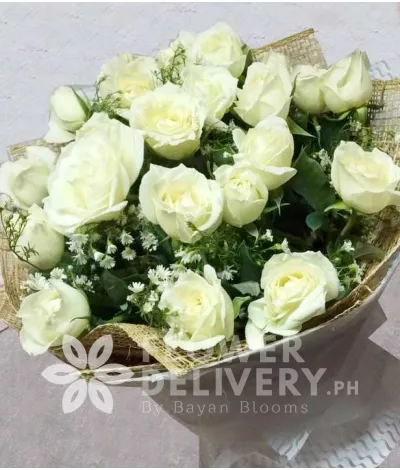 2 Dozen White Roses