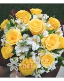 1 Dozen Imported Yellow Roses w/ Alstromeria
