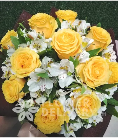 1 Dozen Imported Yellow Roses w/ Alstromeria