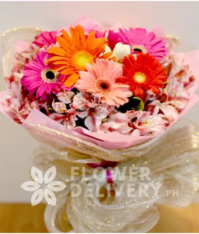 1 Dozen Mixed Gerberas with Alstroemeria 1 Dozen Mixed Gerberas with Alstroemeria