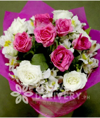 1 Dozen Pink and White Roses 1 Dozen Pink and White Roses