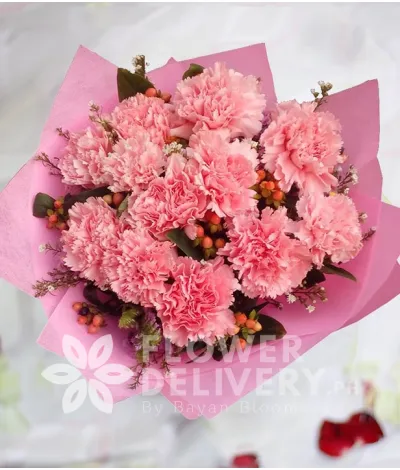 1 Dozen Pink Carnations 1 Dozen Pink Carnations