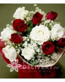 1 Dozen Red and White Roses