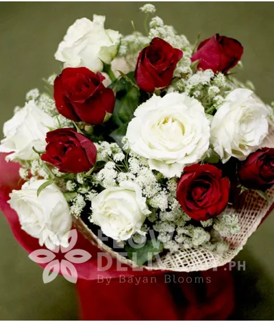 1 Dozen Red and White Roses