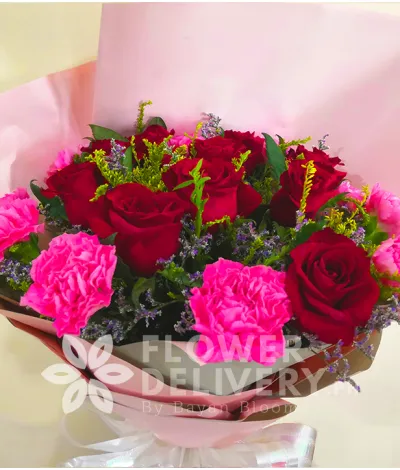 1 Dozen Red Imported Roses and Pink Carnation