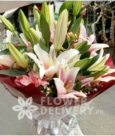 1 Dozen Stargazer Lilies 1 Dozen Stargazer Lilies