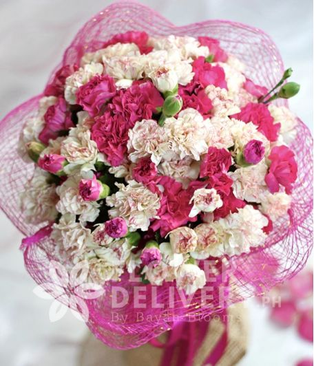 20 White and 20 Pink Carnations