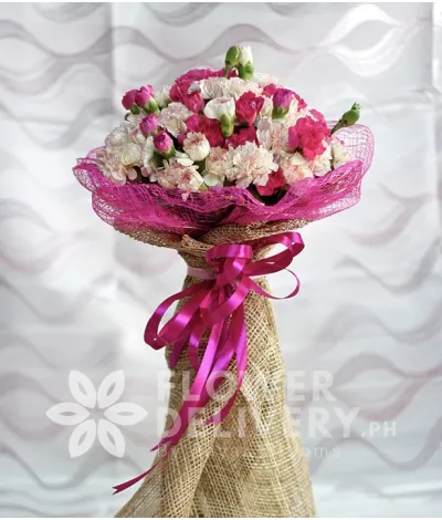 20 White and 20 Pink Carnations