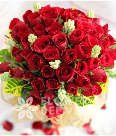 4 Dozen Red Roses