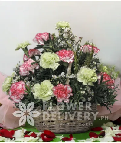 A Basket of Mixed Carnations A Basket of Mixed Carnations