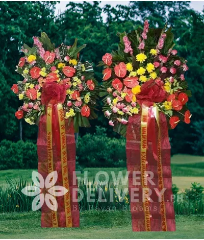 Inaugural Flower - Zevgos Inaugural Flower - Zevgos