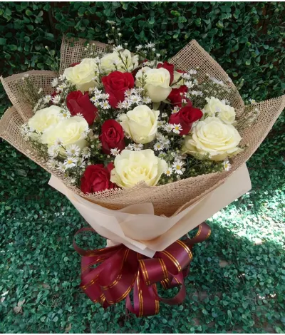 2 dozen mixed red and white roses