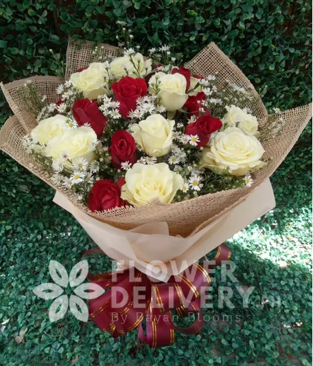 2 Dozen Mixed Red and White Roses