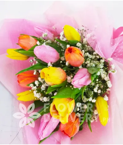 14 Assorted Tulips 14 Assorted Tulips