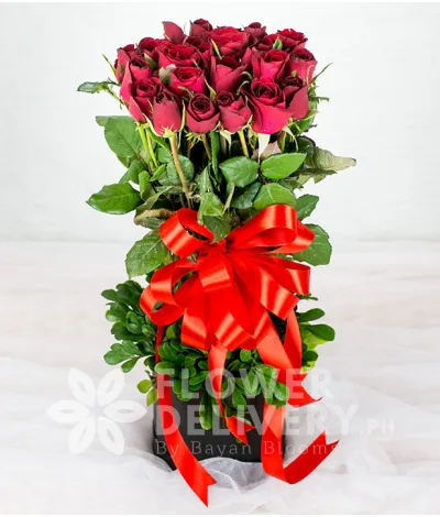 2 Dozen Roses in a Round Box 2 Dozen Roses in a Round Box