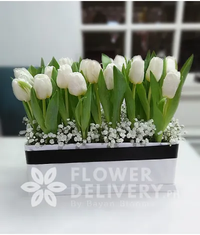 20 White Tulips in a Box 20 White Tulips in a Box