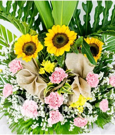 3 Sunflowers and 10 Carnations in a Vase 3 Sunflowers and 10 Carnations in a Vase