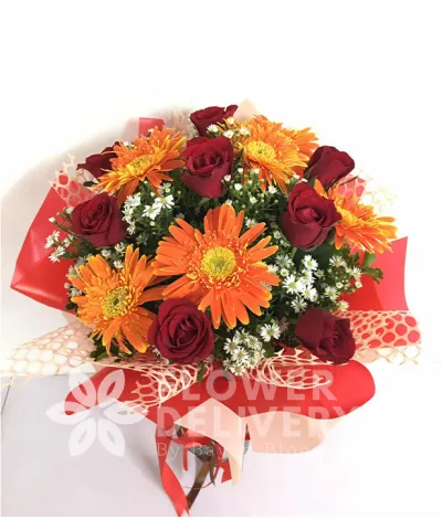 8 pieces of Red Roses with Gerberas (Round Bouquet)