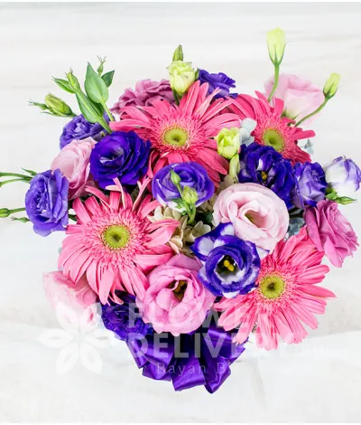 A Box of Mixed Vibrant Flowers A Box of Mixed Vibrant Flowers