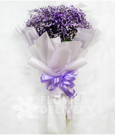 A Charming Bouquet of Purple Gypsophila A Charming Bouquet of Purple Gypsophila