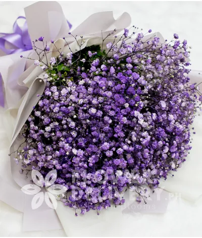 A Charming Bouquet of Purple Gypsophila A Charming Bouquet of Purple Gypsophila