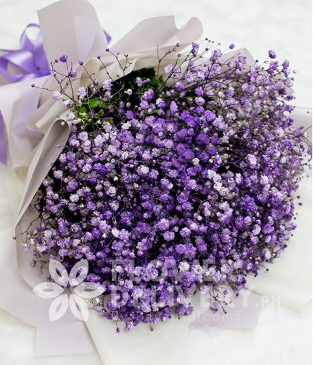 A Charming Bouquet of Purple Gypsophila