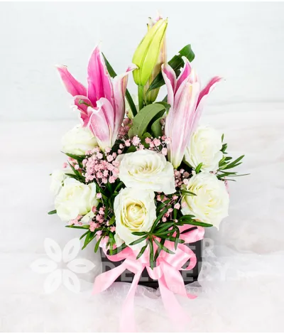 A Square Box of 1 Dozen White Roses with Stargazer A Square Box of 1 Dozen White Roses with Stargazer