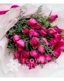 Beautiful Fusia Pink Roses