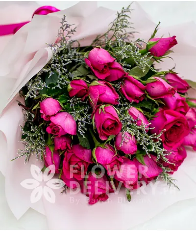 Beautiful Fuchsia Pink Roses Beautiful Fuchsia Pink Roses