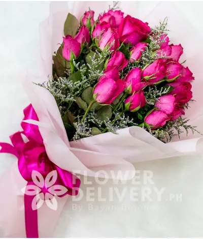 Beautiful Fuchsia Pink Roses Beautiful Fuchsia Pink Roses