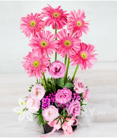 Charming Box of Pink Charming Box of Pink