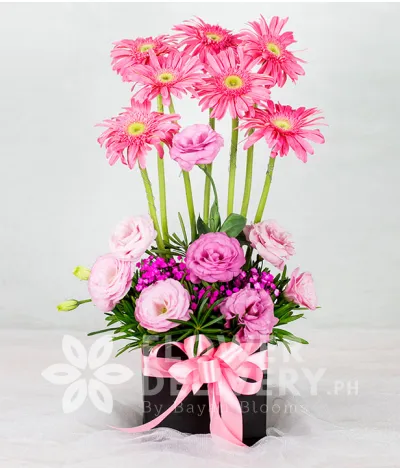 Charming Box of Pink Charming Box of Pink